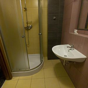 Private Bathroom King Room